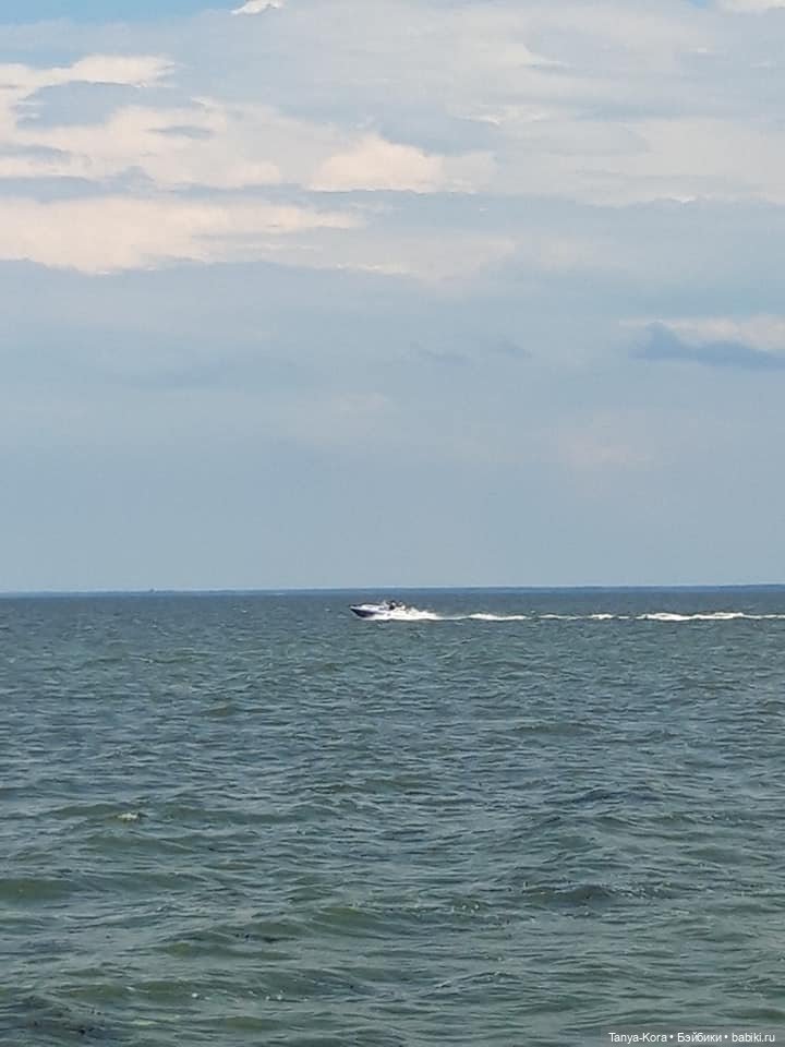 Экскурсия в одно из имений бывшего президента. Приглашаю (фото 9)