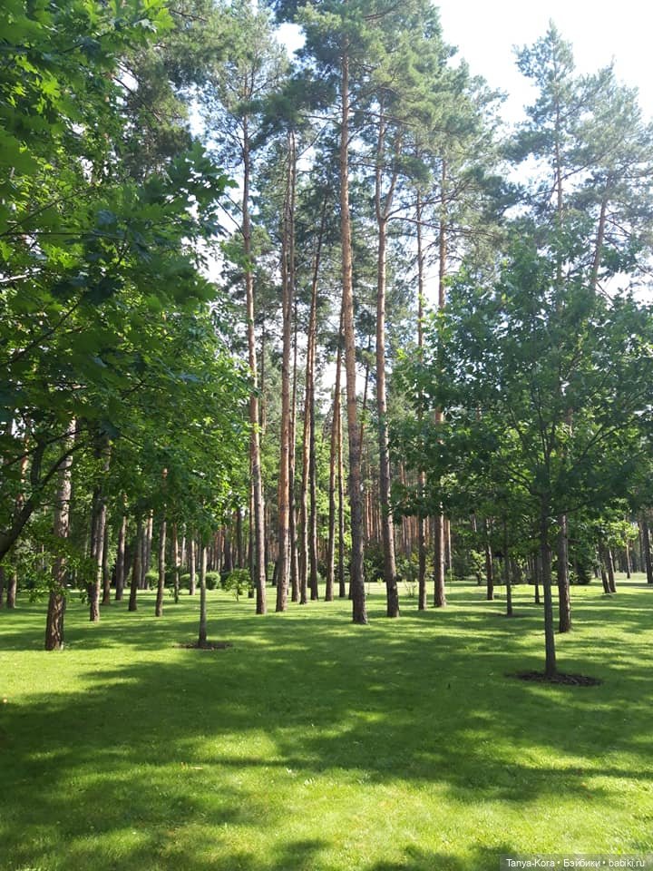 Экскурсия в одно из имений бывшего президента. Приглашаю (фото 2)