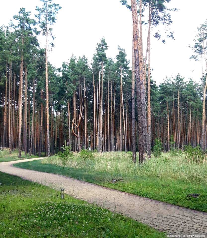 Экскурсия в одно из имений бывшего президента. Приглашаю