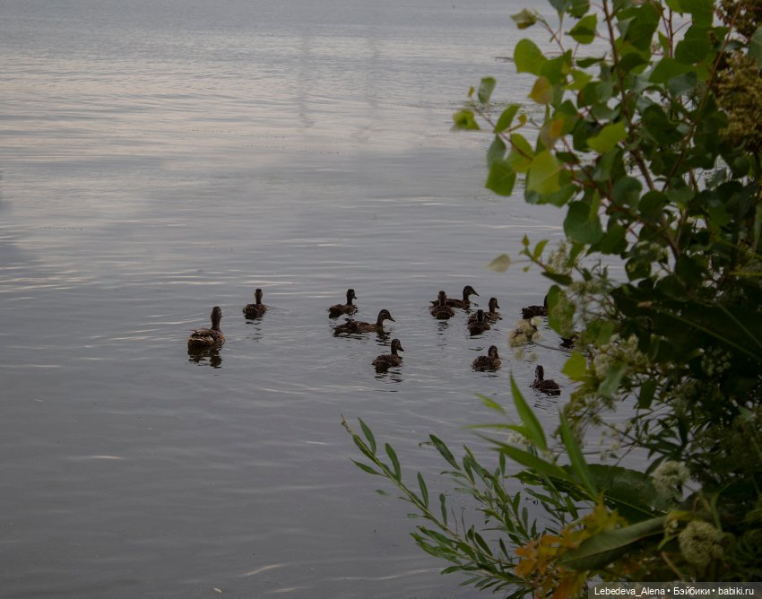 Водные процедуры — Куклы Dollstown (Доллстаун): BJD (БЖД)