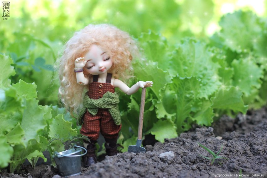 Кто, если не Зефирка? (Pukifee Cupid)