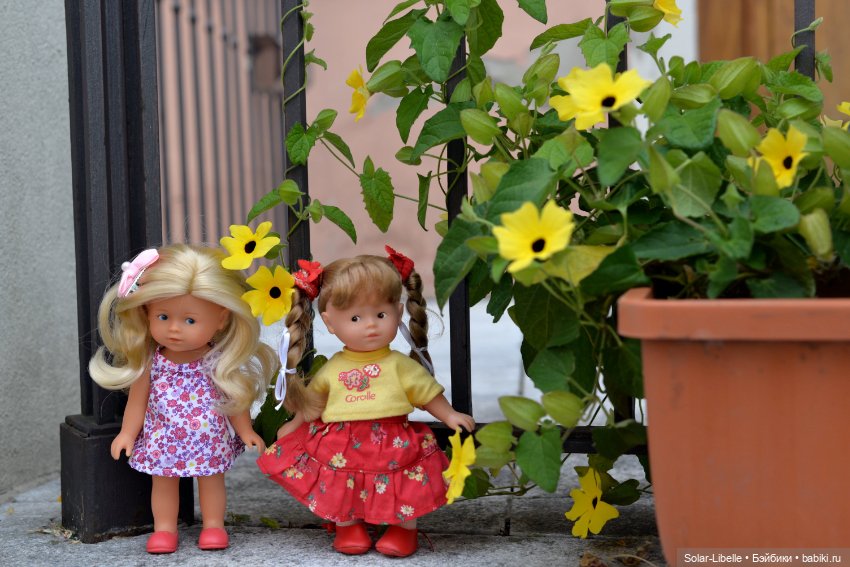 Кусочек лета с мини Королками (фото 7)