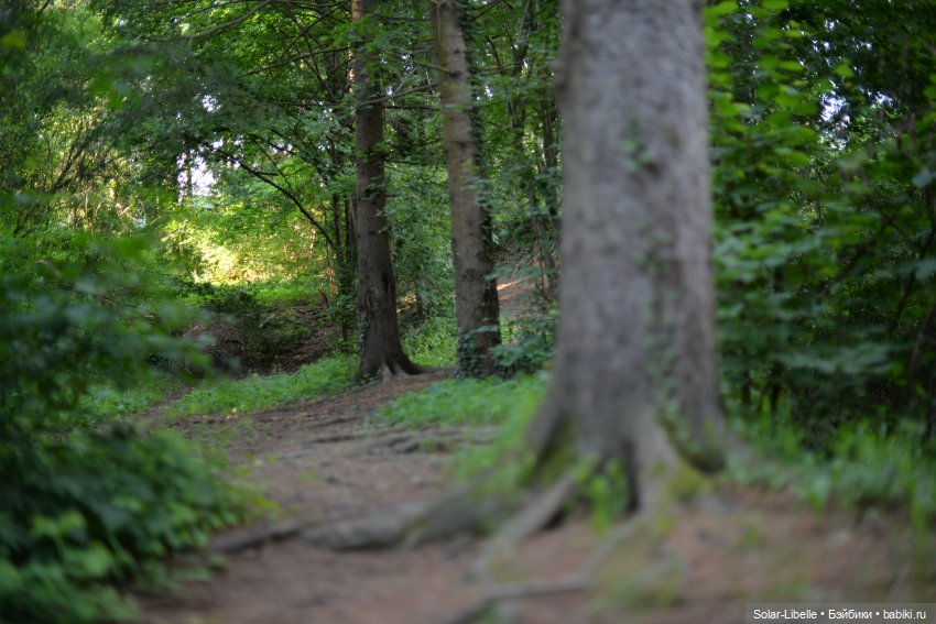 Кусочек лета с мини Королками