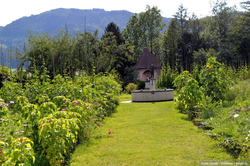 Кусочек лета с мини Королками (фото 9)