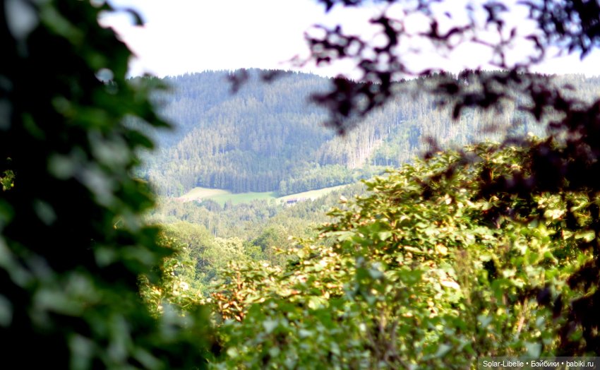 Кусочек лета с мини Королками