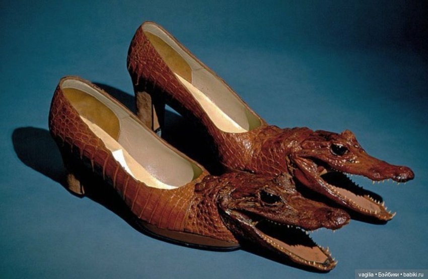 Ох уж эти туфли — Интересное и необычное: фотоподборки