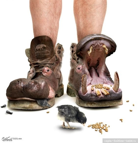 Ох уж эти туфли — Интересное и необычное: фотоподборки