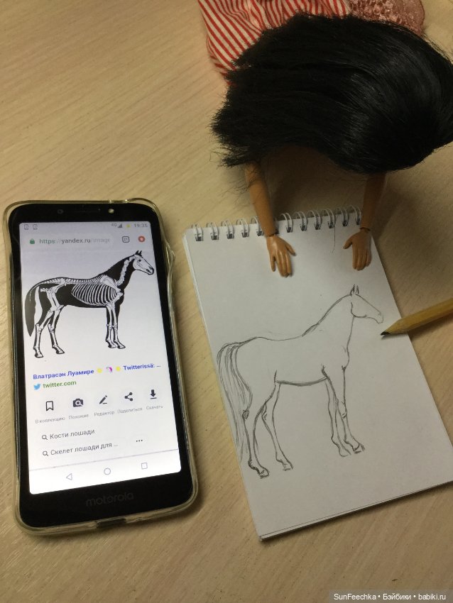 МК Миссис Бэйбики 2020. Художник анималист в работе