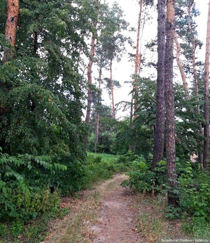 ЛиЭнн (LeeAnn) знакомится с Киевом. Поход в ботанический сад (фото 10)