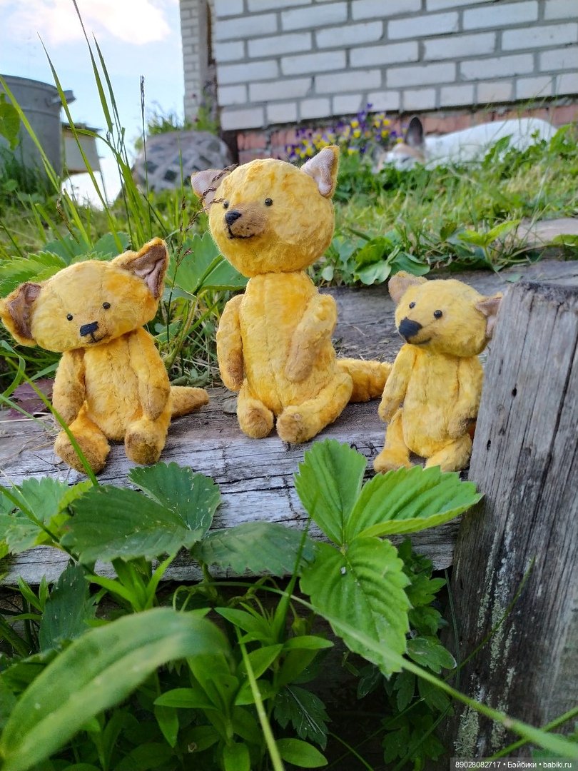 Фотосессия — Красивая природа и цветы: фото пейзажей (фото 7)