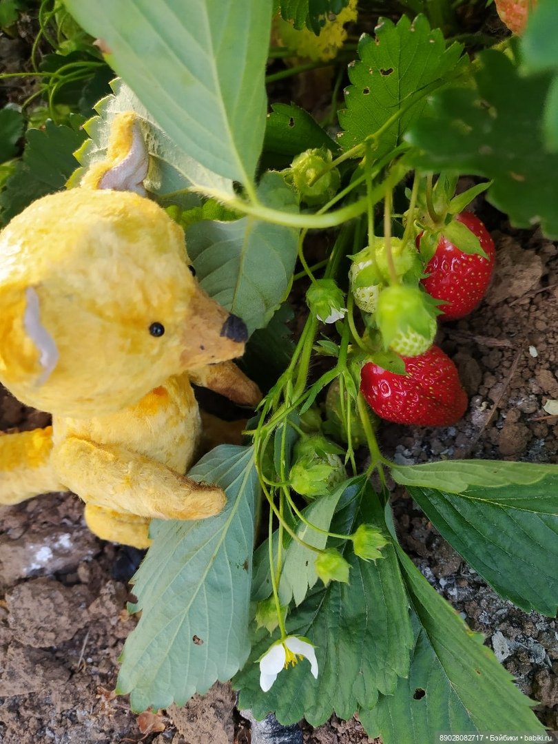 Фотосессия — Красивая природа и цветы: фото пейзажей (фото 4)