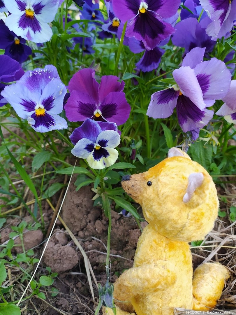 Фотосессия — Красивая природа и цветы: фото пейзажей (фото 5)