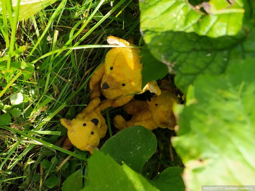 Фотосессия — Красивая природа и цветы: фото пейзажей