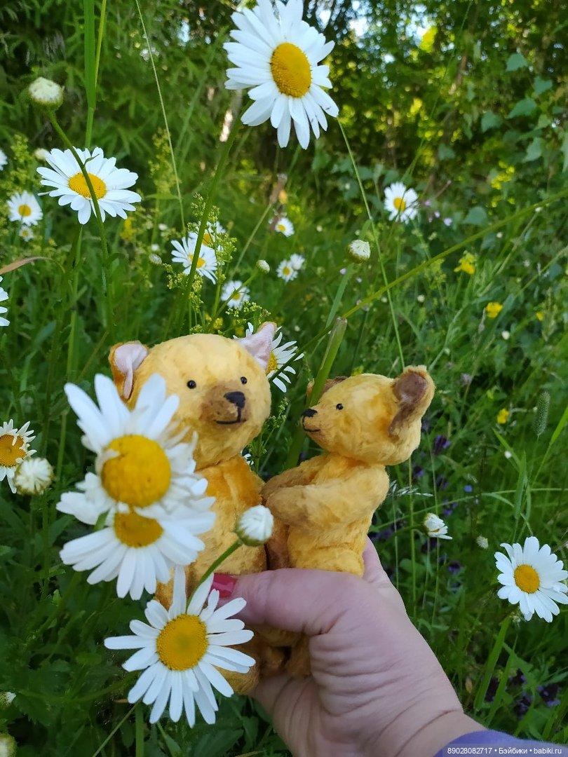 Фотосессия — Красивая природа и цветы: фото пейзажей (фото 3)