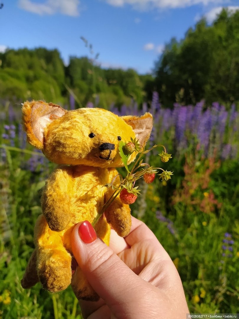 Фотосессия — Красивая природа и цветы: фото пейзажей (фото 2)