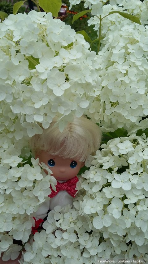 Лот 4 дома — Болталка и разговоры обо всем: жизнь (фото 9)