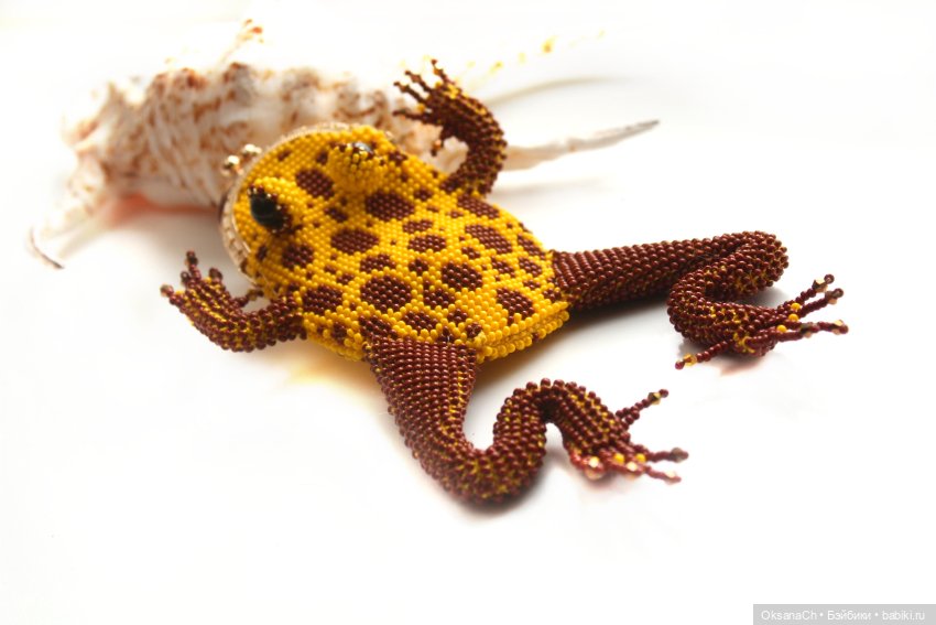 Лягушонок номер бесконечность (фото 3)