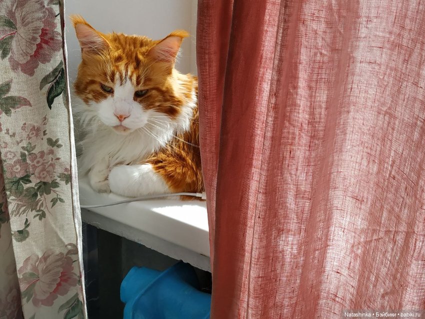 Fashion Dolls 102 — Куклы Звезды подиума (Angel Collection): шарнирные