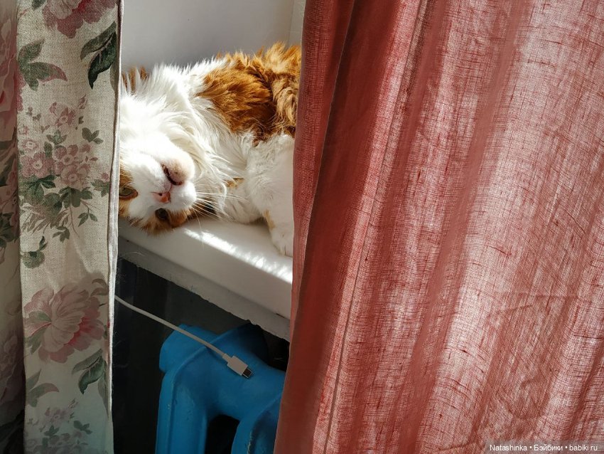 Fashion Dolls 102 — Куклы Звезды подиума (Angel Collection): шарнирные