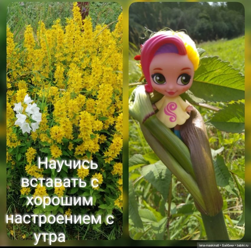 Кнопочка- в деревне — Игровые куклы разных производителей (Разное): редкие бренды
