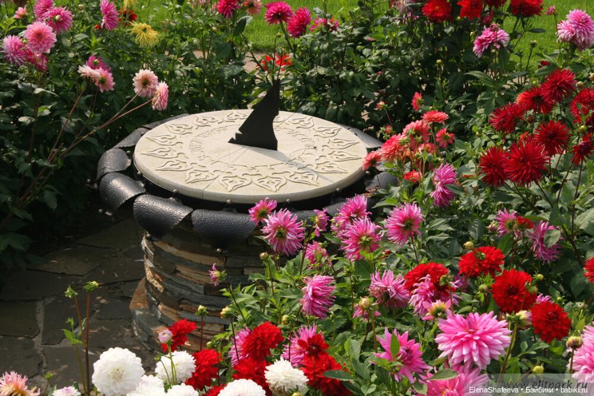 СОЛНЕЧНЫЕ ЧАСЫ в ландшафтном дизайне (фото 6)