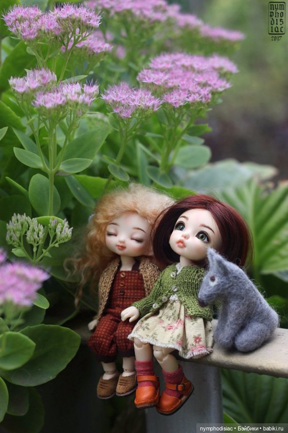 Грибные эльфы (Pukifee Ante и Cupid)