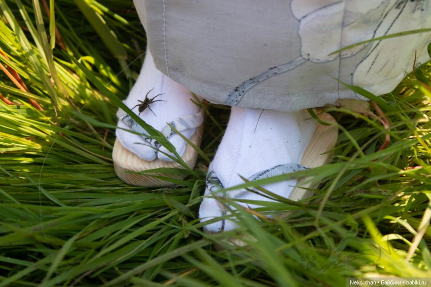 Прогулка лиса — Фотоистории с куклами BJD (БЖД): сериалы (фото 4)