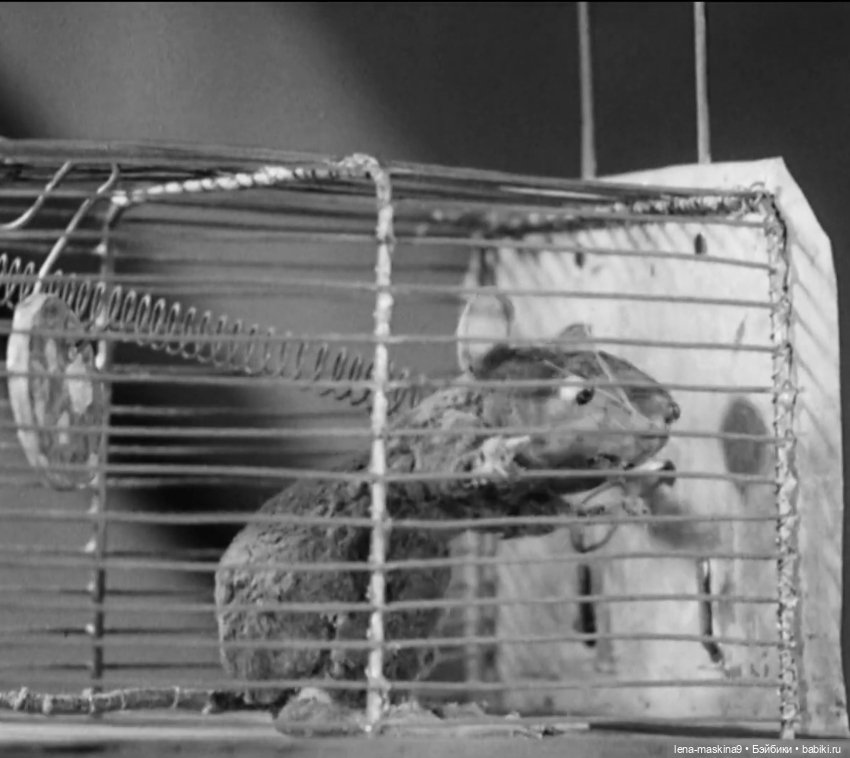 В кукольной стране:) — Игрушки СССР и советского детства: резиновые