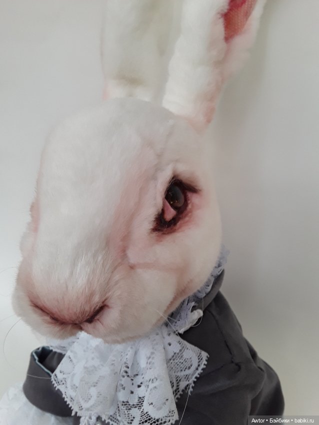 Алиса в стране чудес — Домашние фото авторских игрушек: Тедди