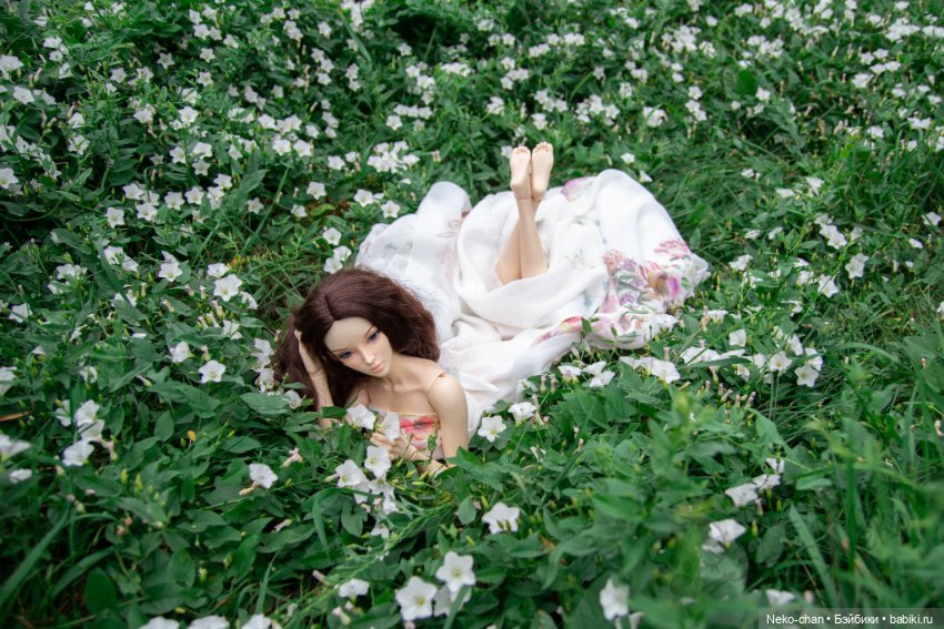 Прелесть вьюнка — Фотоистории с куклами BJD (БЖД): сериалы