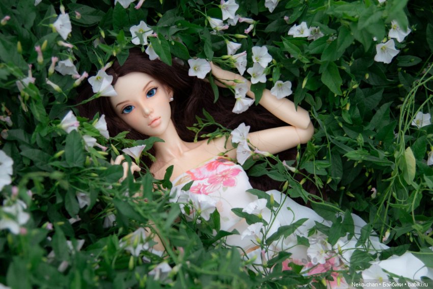 Прелесть вьюнка — Фотоистории с куклами BJD (БЖД): сериалы (фото 8)