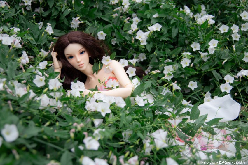 Прелесть вьюнка — Фотоистории с куклами BJD (БЖД): сериалы (фото 9)