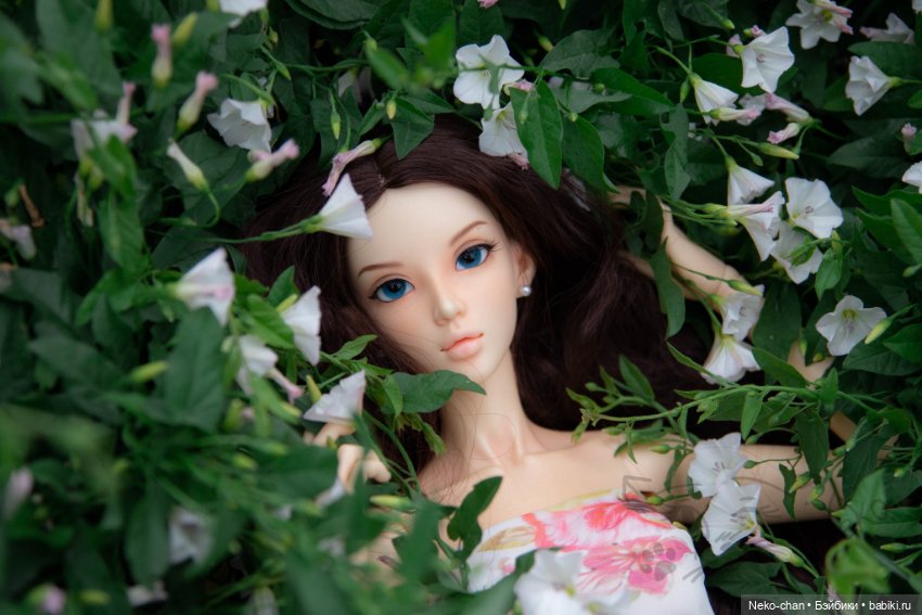 Прелесть вьюнка — Фотоистории с куклами BJD (БЖД): сериалы (фото 7)