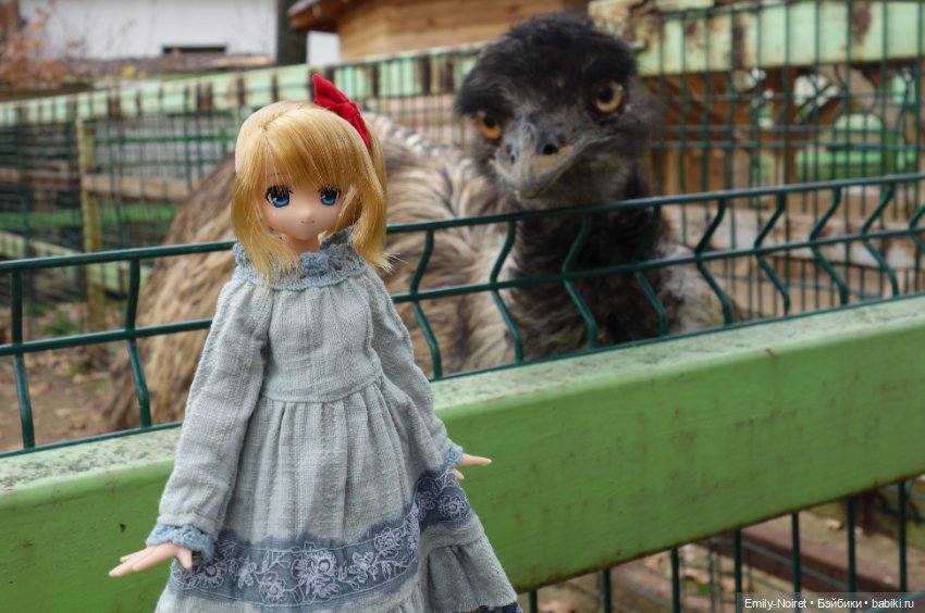 Конный парк Русь — Туризм и путешествия: фотоотчеты из поездок (фото 7)