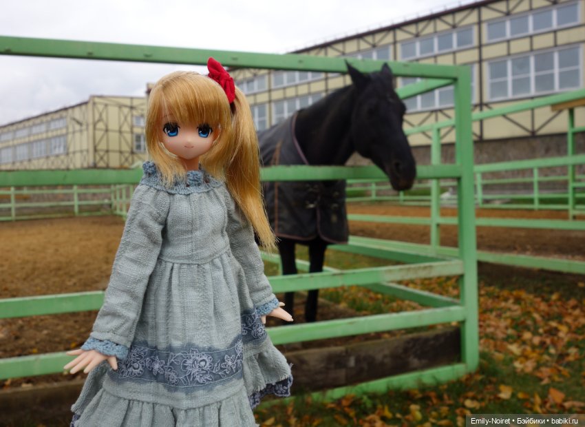 Конный парк Русь — Туризм и путешествия: фотоотчеты из поездок (фото 10)