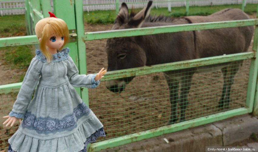 Конный парк Русь — Туризм и путешествия: фотоотчеты из поездок (фото 3)