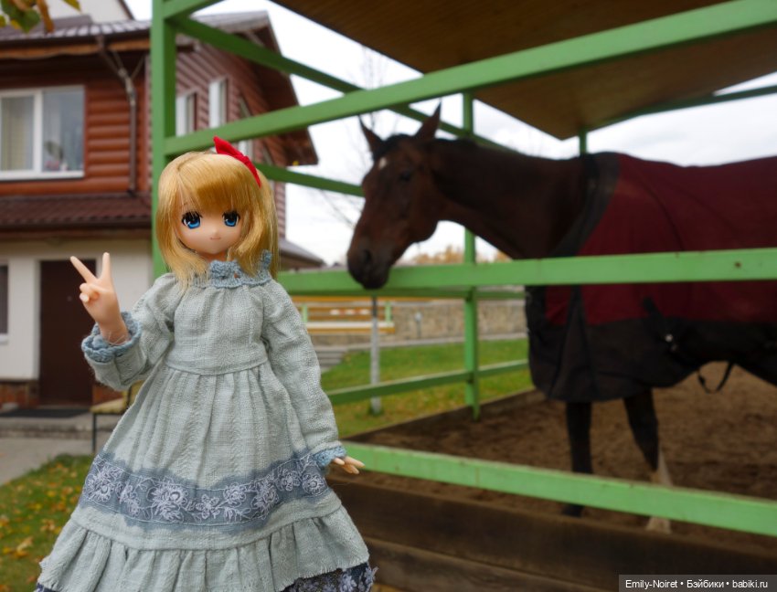 Конный парк Русь — Туризм и путешествия: фотоотчеты из поездок