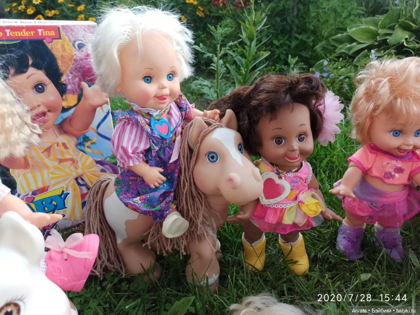 Какую фейсинку лучше поселить у себя дома (фото 5)