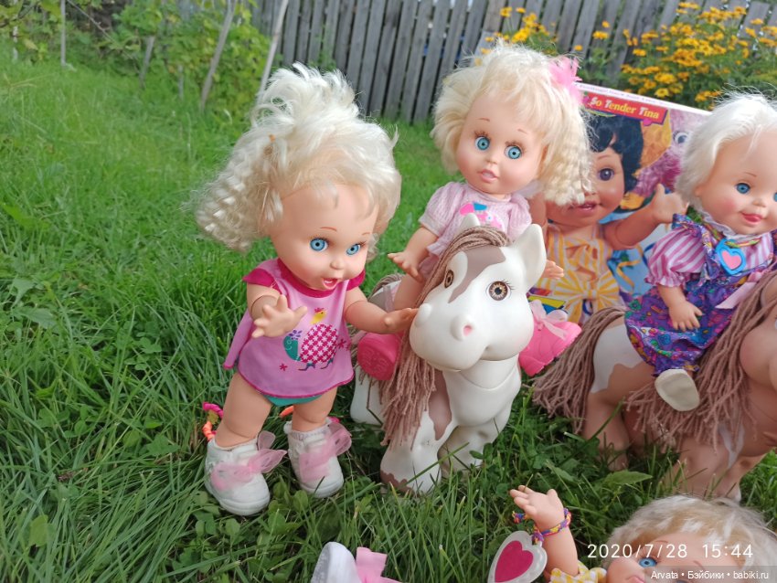 Какую фейсинку лучше поселить у себя дома