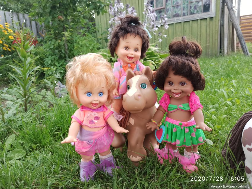 Какую фейсинку лучше поселить у себя дома (фото 3)