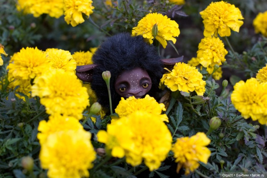 Маленькая Йети в городском парке (фото 4)