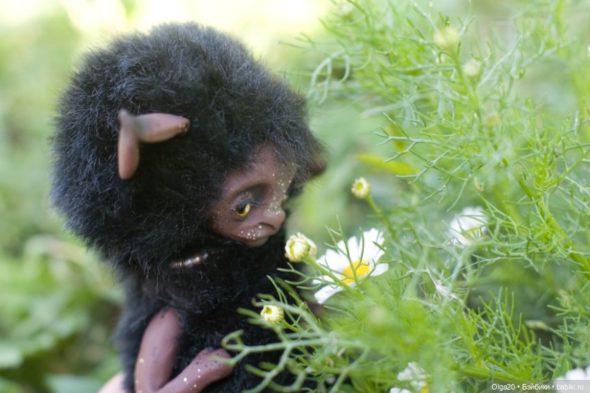 Маленькая Йети в городском парке (фото 5)