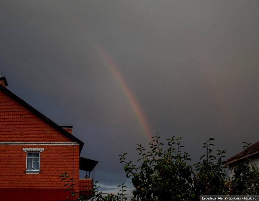 Эльфячьи зарисовки — Фотоистории с куклами BJD (БЖД): сериалы