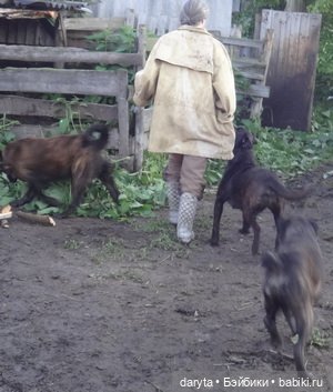 Когда кушать хочется — Болталка и разговоры обо всем: жизнь