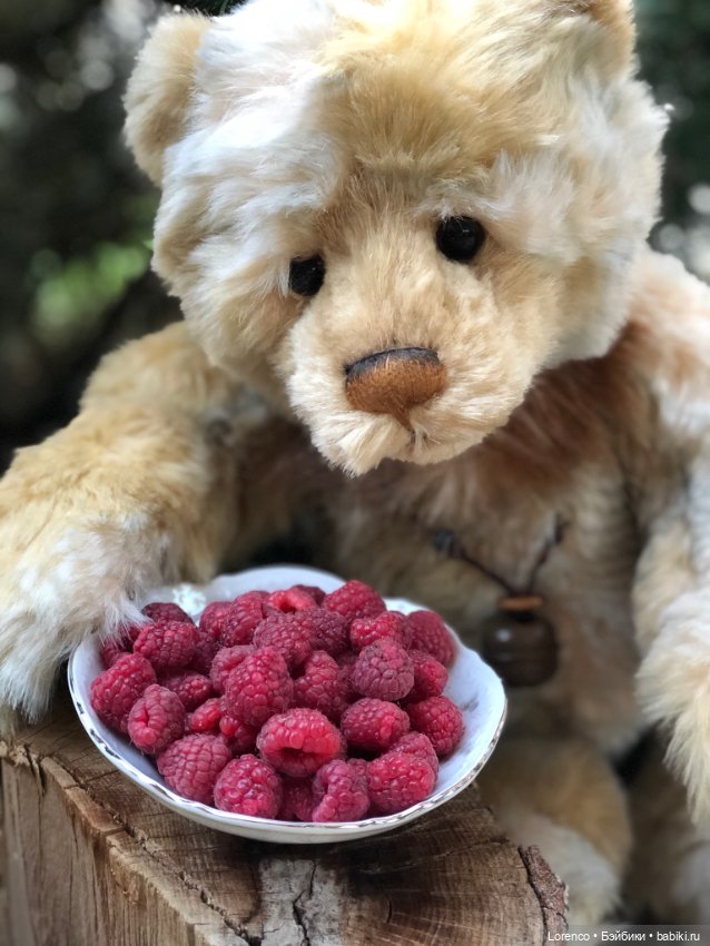 Мои плюшечки — Авторские мишки Тедди и друзья: фото