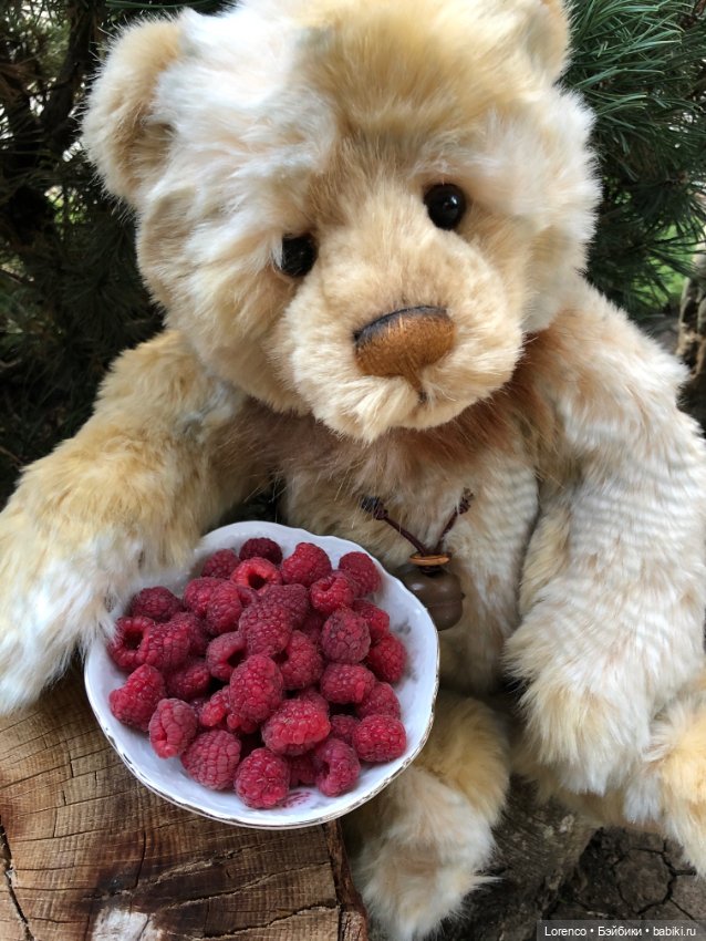 Мои плюшечки — Авторские мишки Тедди и друзья: фото