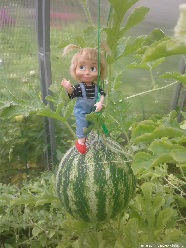 Машкины дачные приключения (фото 4)