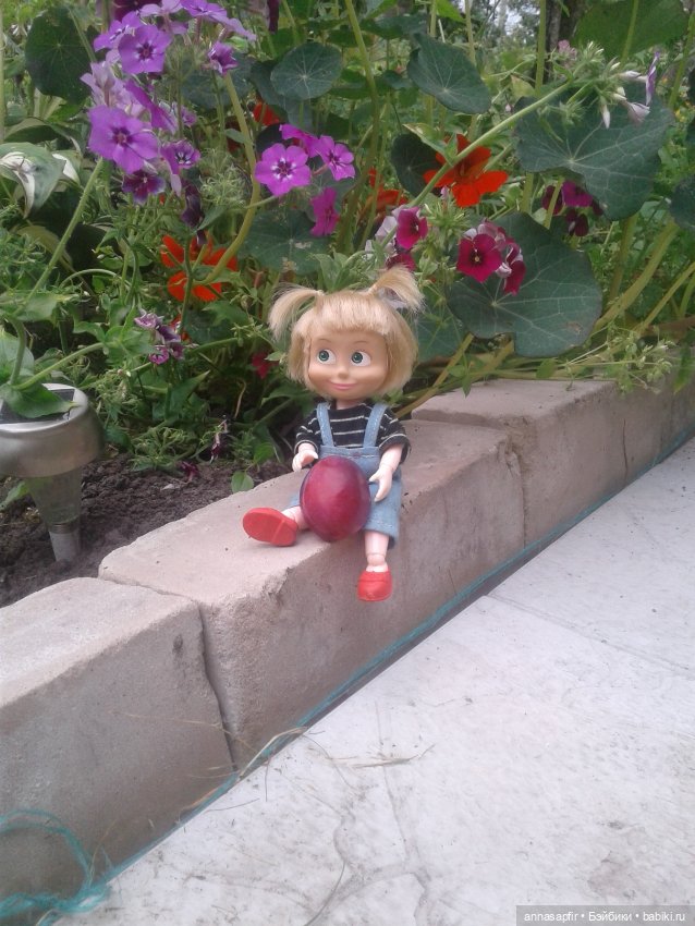 Машкины дачные приключения (фото 6)