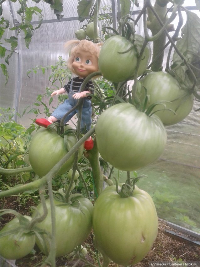 Машкины дачные приключения (фото 9)