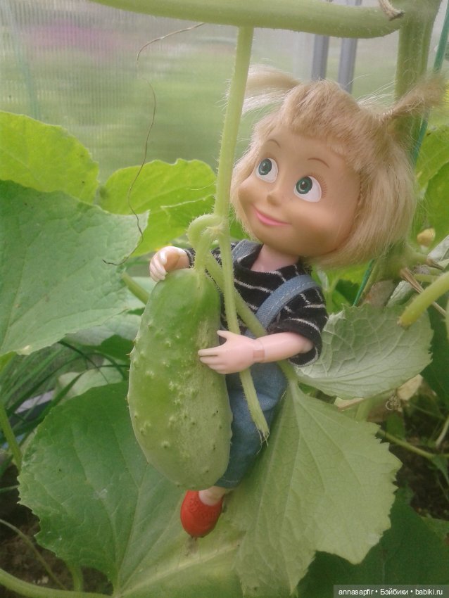 Машкины дачные приключения